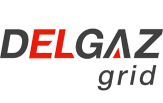 delgaz-320x202